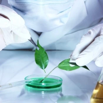 Natural-organic-synthetic-free