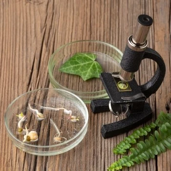 Transparent-No-Secrets