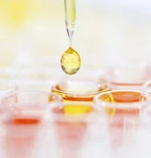 Ayurvedic-Excellence